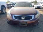 2008 Honda Accord EX