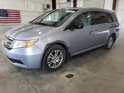 Salvage cars for sale at Avon, MN auction: 2012 Honda Odyssey EXL