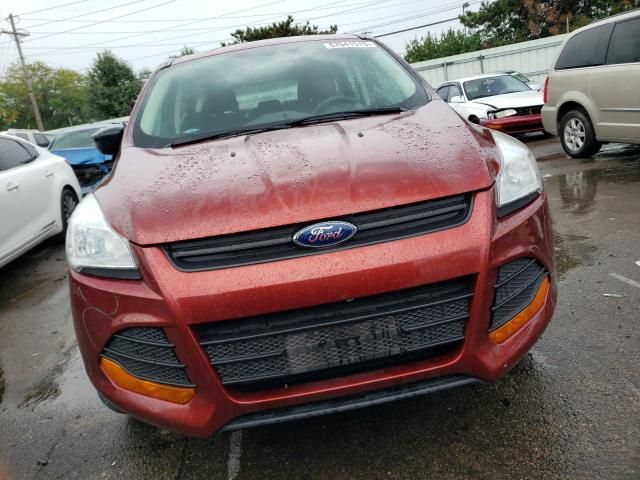 2014 Ford Escape S