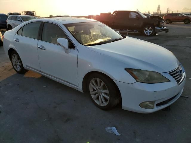 2010 Lexus ES 350