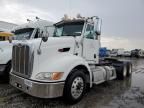 2010 Peterbilt 384