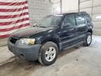 2005 Ford Escape XLT