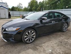 Salvage cars for sale from Copart Lyman, ME: 2019 Nissan Maxima S