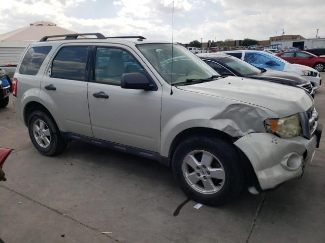 2009 Ford Escape XLT