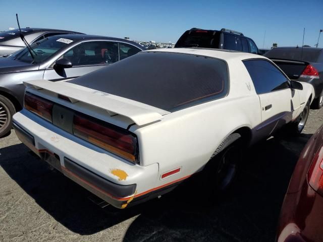 1987 Pontiac Firebird