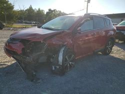 Salvage cars for sale from Copart York Haven, PA: 2016 Toyota Rav4 XLE