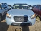 2007 Hyundai Santa FE SE