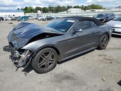 Salvage cars for sale at Pennsburg, PA auction: 2020 Ford Mustang