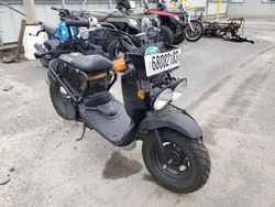 Salvage motorcycles for sale at Glassboro, NJ auction: 2020 Honda NPS50