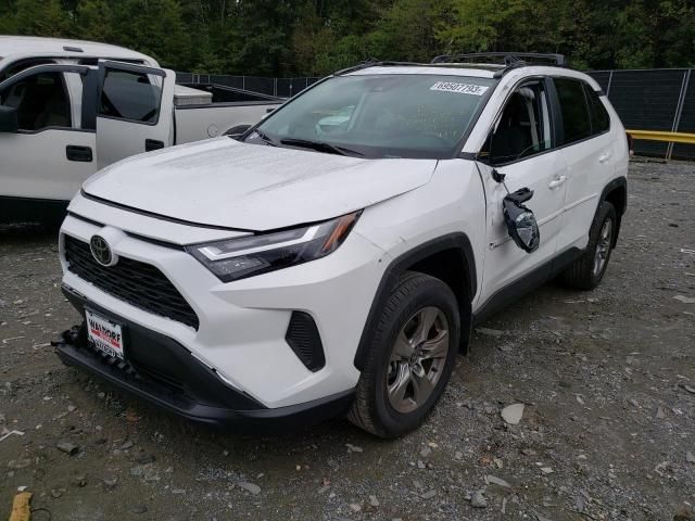 2023 Toyota Rav4 XLE