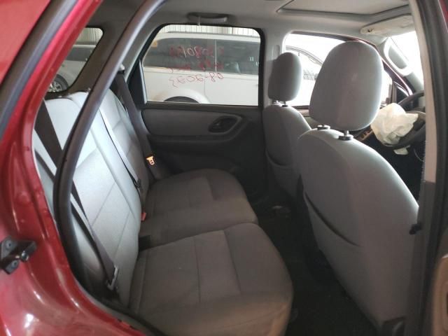 2006 Ford Escape XLT