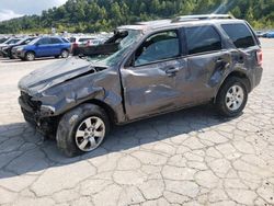 Salvage cars for sale at auction: 2011 Ford Escape Limited