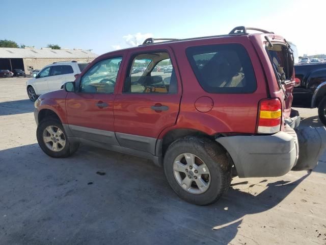 2007 Ford Escape XLT