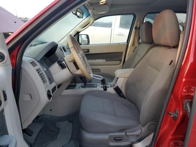 2009 Ford Escape XLT