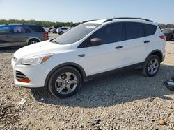 Salvage cars for sale at Memphis, TN auction: 2014 Ford Escape