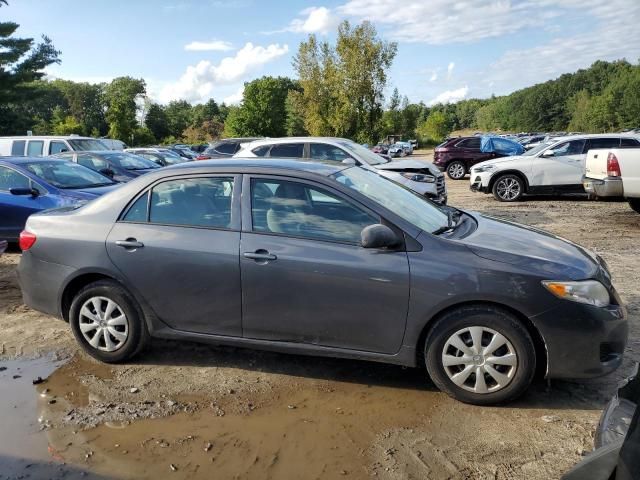 2010 Toyota Corolla Base