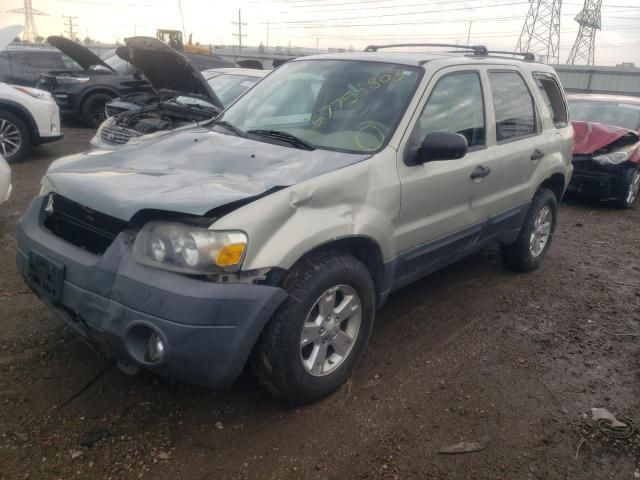 2005 Ford Escape XLT