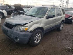 Ford Vehiculos salvage en venta: 2005 Ford Escape XLT