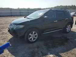 Nissan Murano s salvage cars for sale: 2009 Nissan Murano S