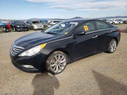 Salvage cars for sale from Copart Helena, MT: 2013 Hyundai Sonata SE