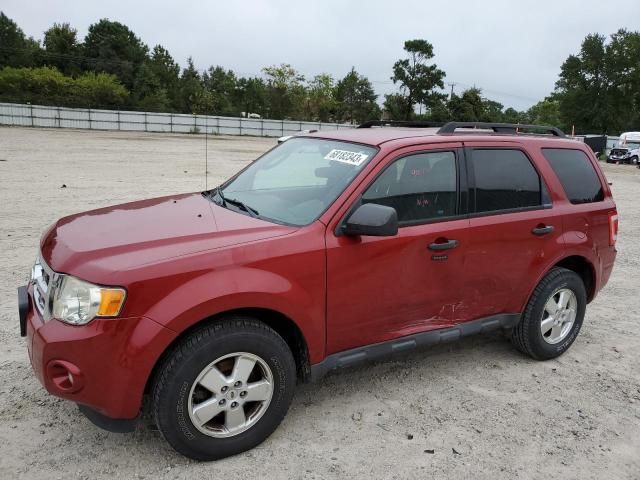 2011 Ford Escape XLT