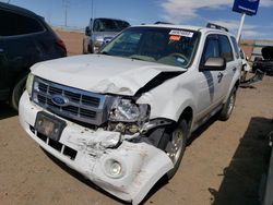 Salvage cars for sale at Albuquerque, NM auction: 2012 Ford Escape XLT