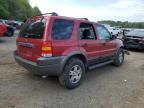 2004 Ford Escape XLT