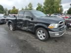 2009 Dodge RAM 1500