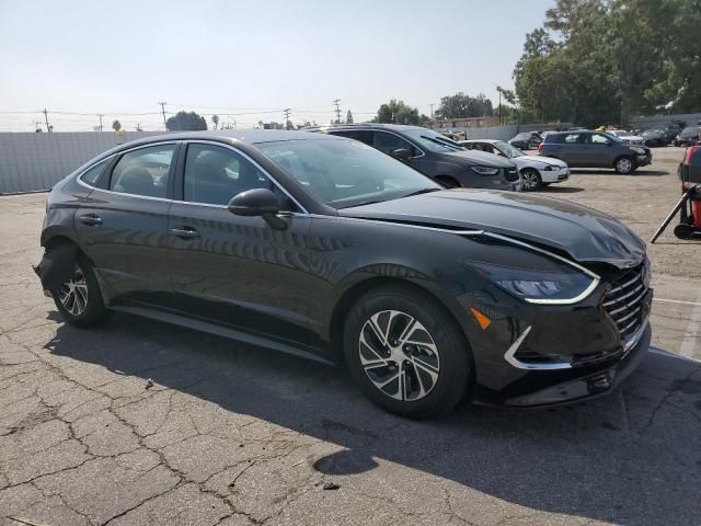 2023 Hyundai Sonata Hybrid