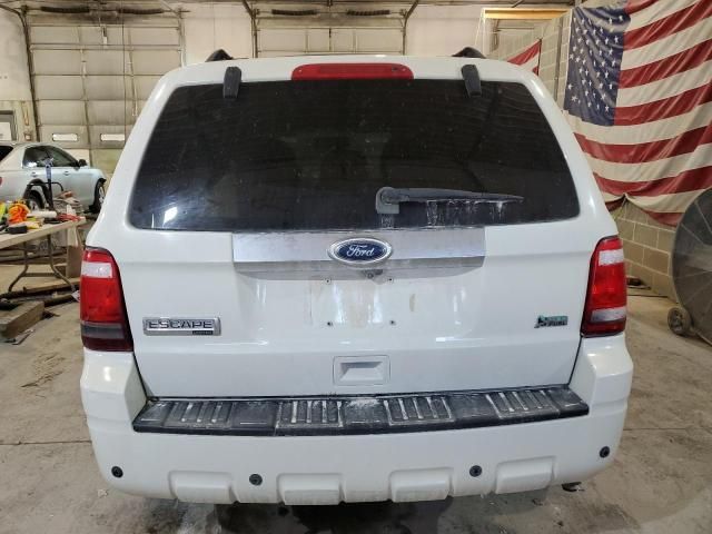 2010 Ford Escape Limited