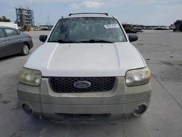 2005 Ford Escape XLT