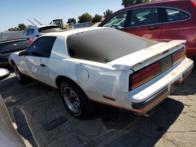 1987 Pontiac Firebird