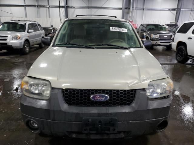 2005 Ford Escape XLT