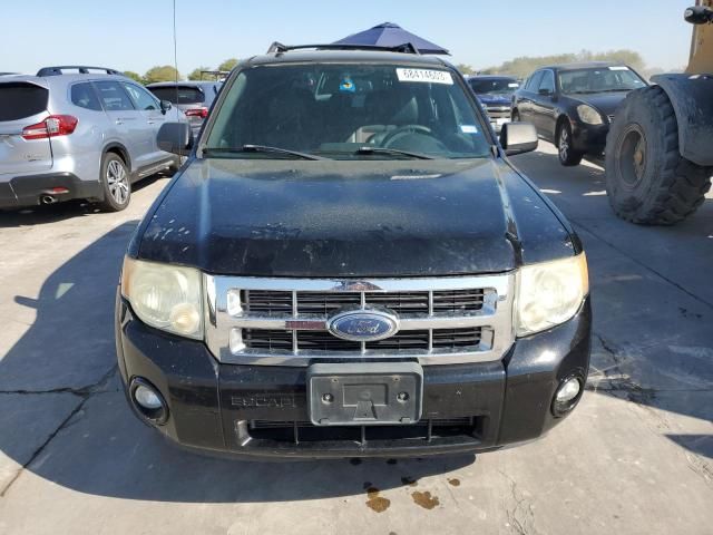 2008 Ford Escape XLT