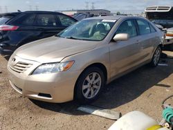 Salvage cars for sale from Copart Elgin, IL: 2007 Toyota Camry CE