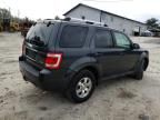 2009 Ford Escape Limited