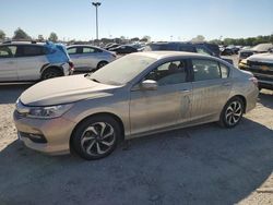 Salvage cars for sale at Indianapolis, IN auction: 2016 Honda Accord EXL