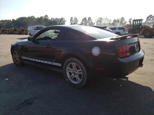 2005 Ford Mustang