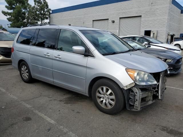 2010 Honda Odyssey EXL