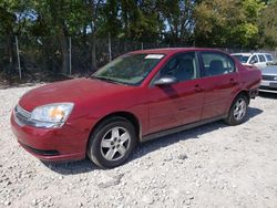 Salvage cars for sale from Copart Cicero, IN: 2005 Chevrolet Malibu LS