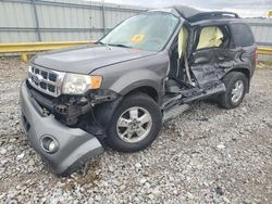 Salvage cars for sale at auction: 2010 Ford Escape XLT