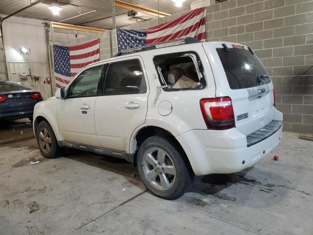 2010 Ford Escape Limited