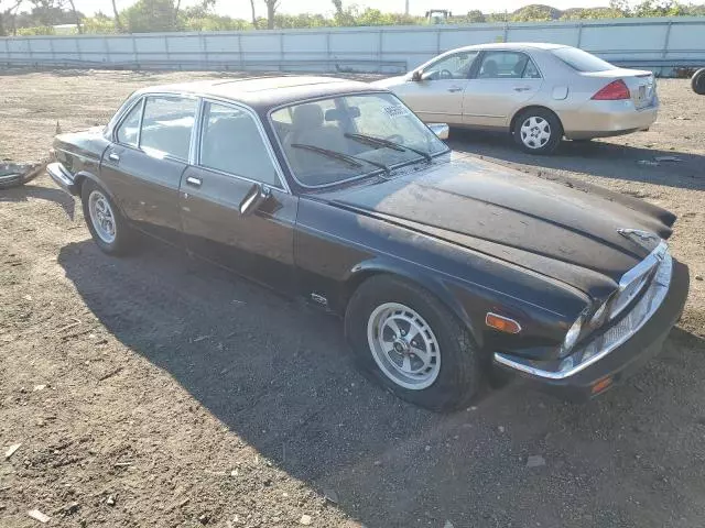 1984 Jaguar XJ6 Vanden Plas