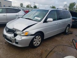 Salvage cars for sale at Elgin, IL auction: 2002 Honda Odyssey EX