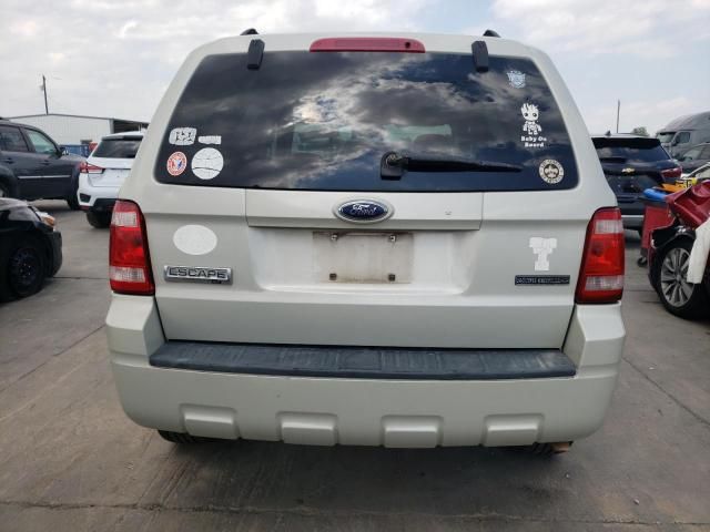 2009 Ford Escape XLT