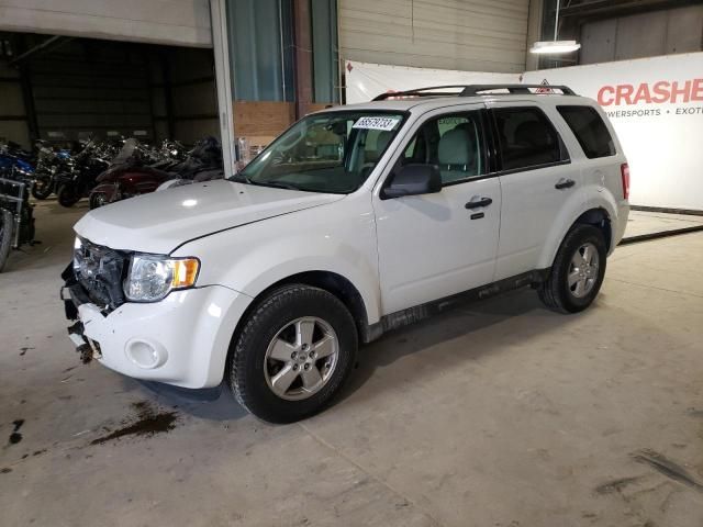 2011 Ford Escape XLT