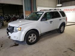 Salvage cars for sale from Copart Eldridge, IA: 2011 Ford Escape XLT