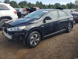 Hyundai Ioniq salvage cars for sale: 2017 Hyundai Ioniq SEL