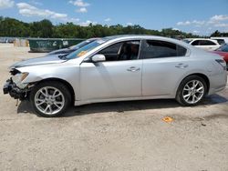 Nissan salvage cars for sale: 2014 Nissan Maxima S