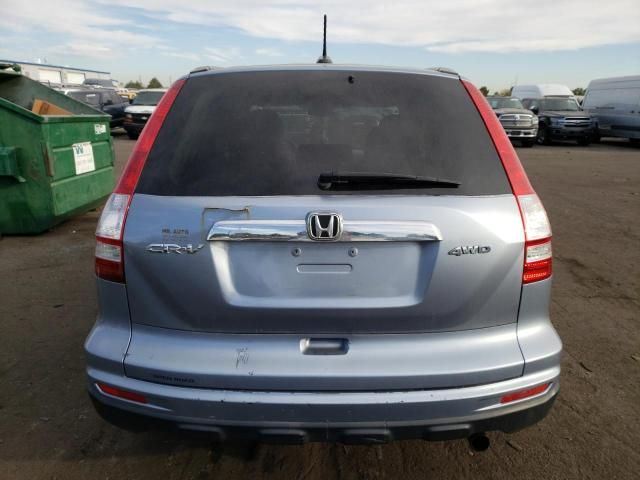 2010 Honda CR-V EXL